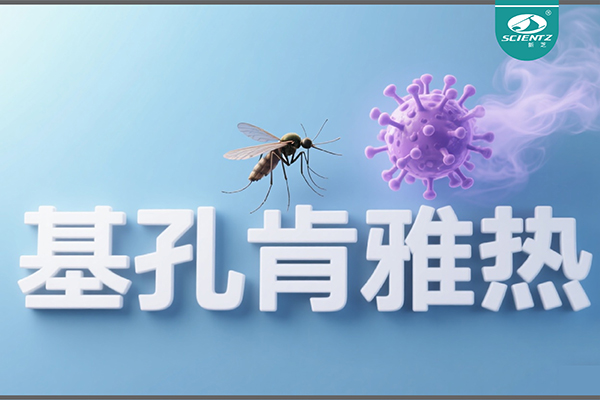 基孔肯雅熱疫情升級！新芝生物硬核技術(shù)助力病毒精準診斷