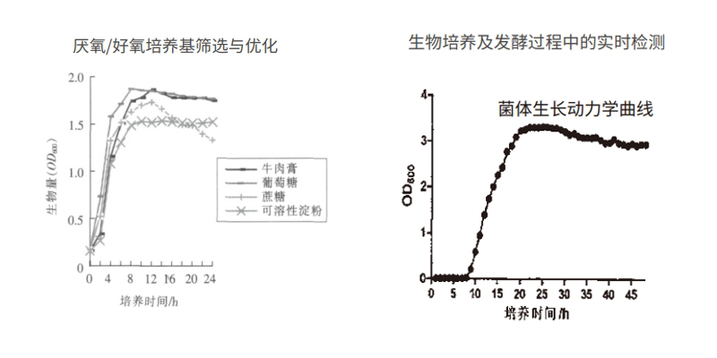 過程安全，結(jié)果精準