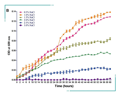 實驗數(shù)據(jù)